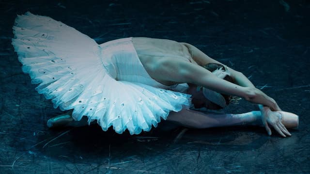 Swan Lake Filmed for IMAX