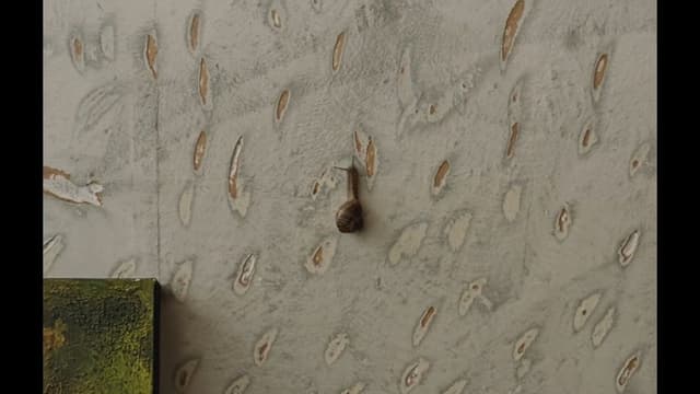 The Mark On The Wall