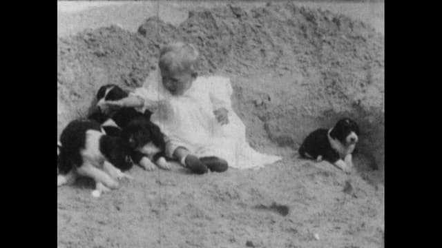 Wonder Dogs! Canine Stars of the Silent Era (1898-1928)
