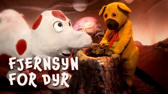 Bamse on the Planet