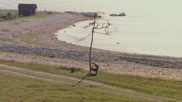 Andrei Tarkovsky: WATER