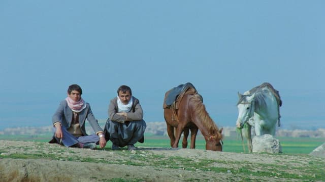 The Road