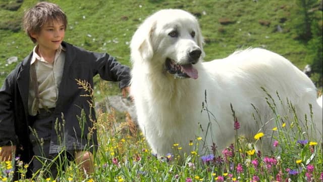 Belle and Sebastian