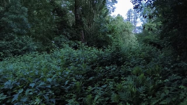 Ecosystem Washing