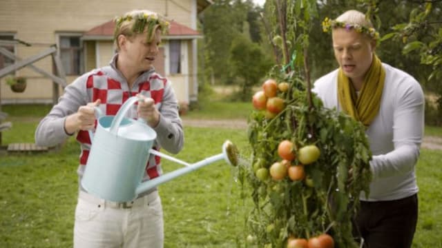 Juurikasvua