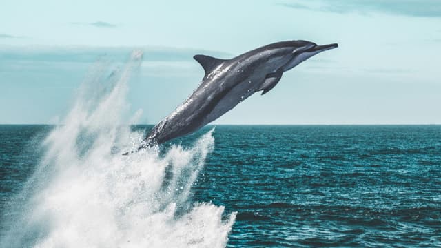 Living Waters
