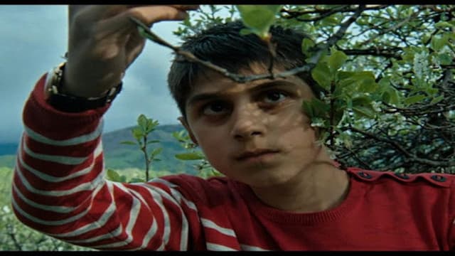 Matei Child Miner