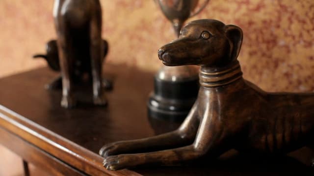 Hounds