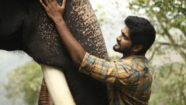 Kumki 2