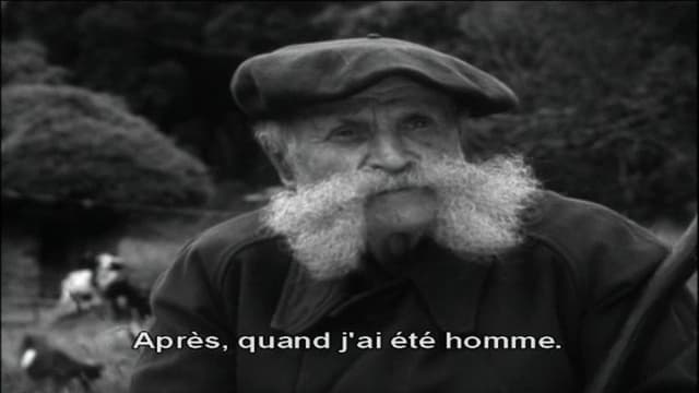 Maurin des Maures
