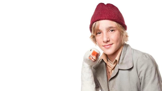 Nils Holgerssons wunderbare Reise