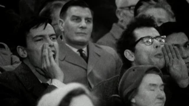 The Hecklers