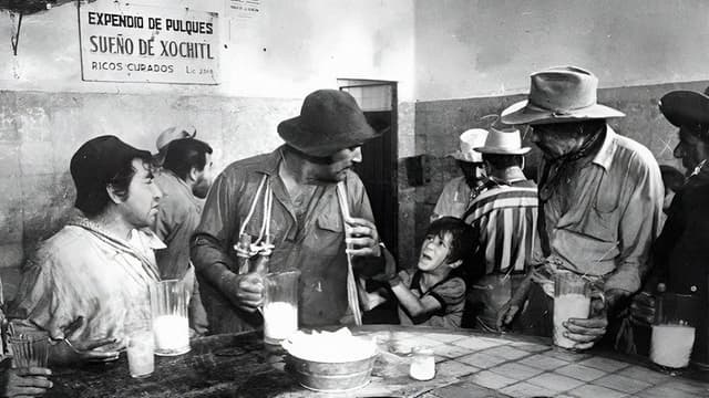 The Bricklayers