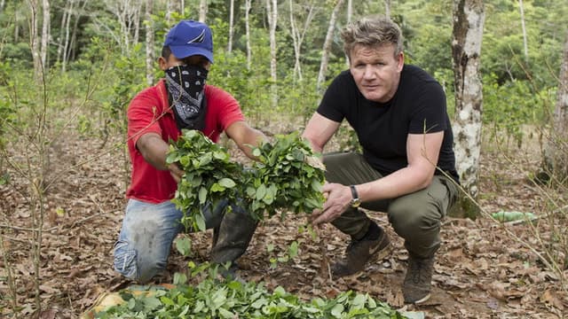 Gordon Ramsay on Cocaine