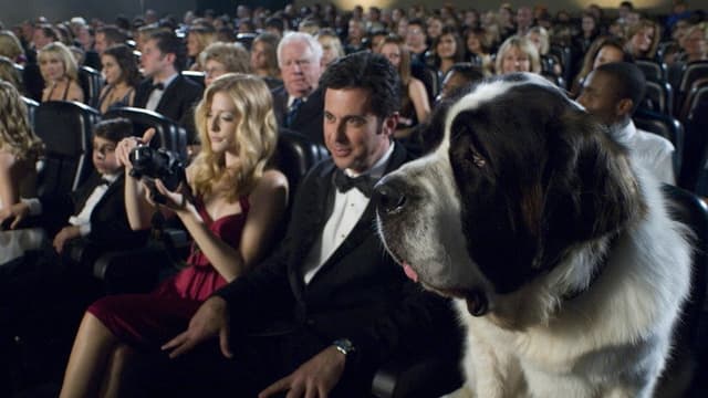 Beethoven's Big Break