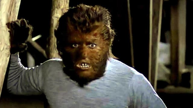 Dr. Jekyll and the Werewolf