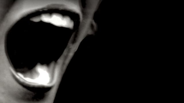 Silent Scream