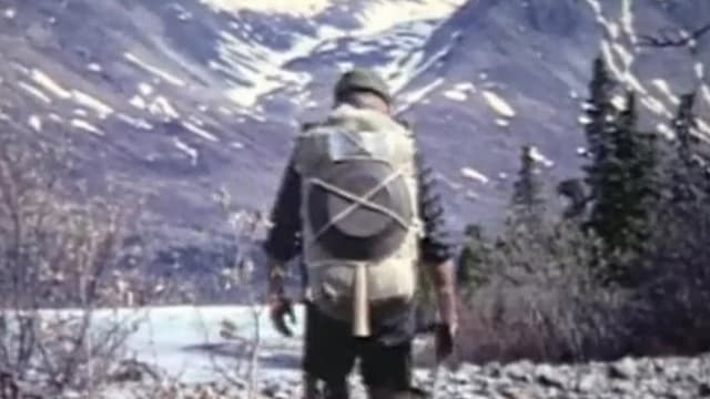 Alone in the Wilderness