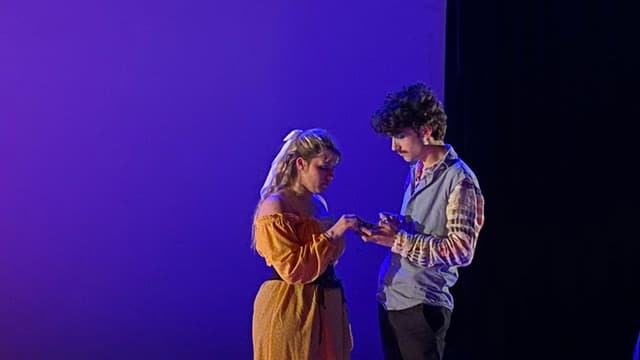 Cannes Confidentiel, le spectacle musical