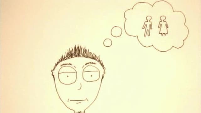 The Perfect Man
