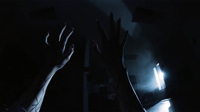 Chasing Shadows