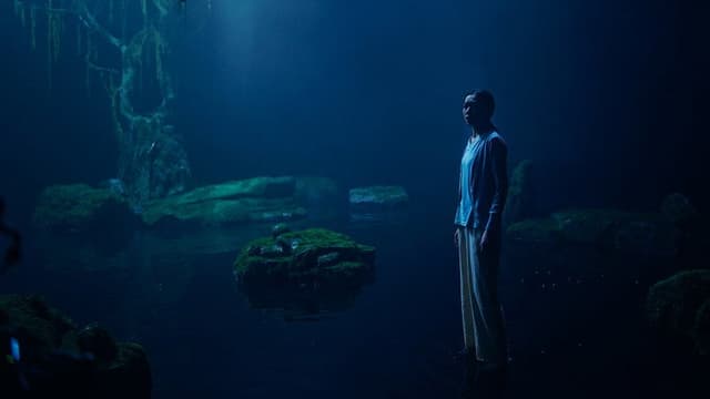 The Lake