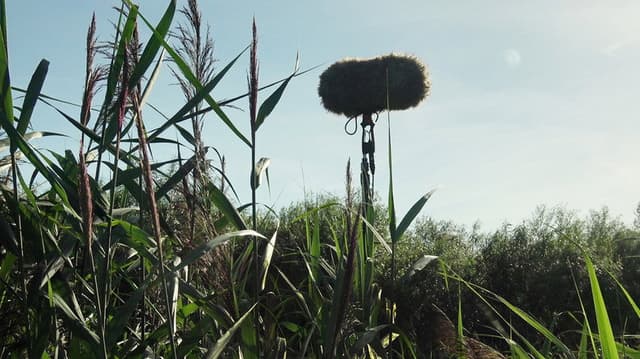 In a Silent Way
