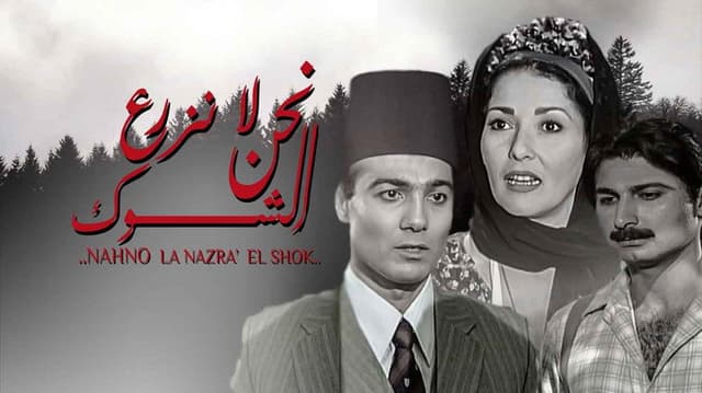نحن لا نزرع الشوك