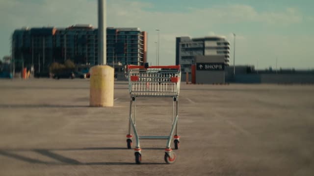 The Trolley Problem