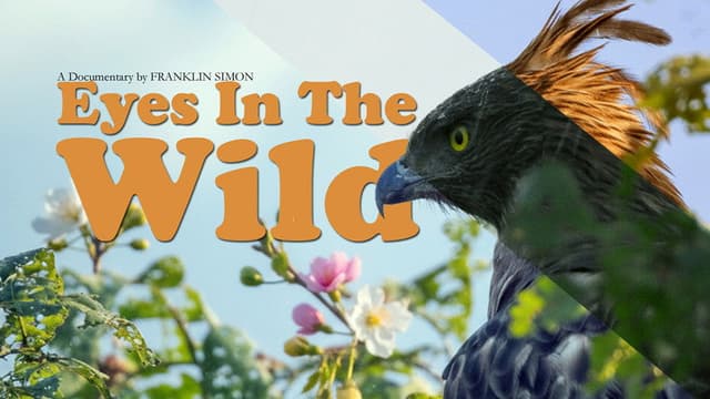 Eyes in the wild