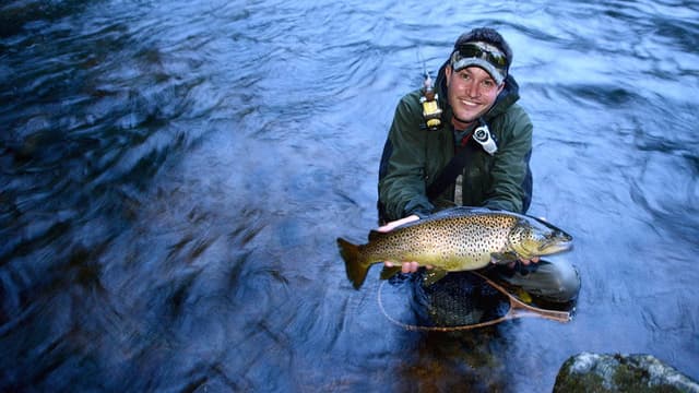 King Fishers: Battle Of The Nordics