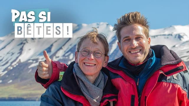 Pas si bêtes !