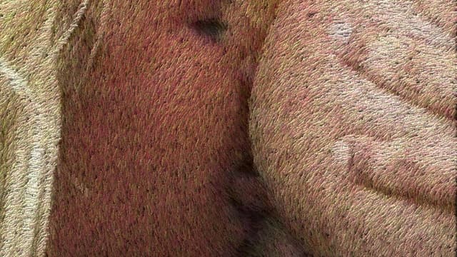 Rough Sex 2