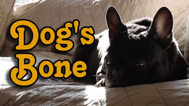 Dog's Bone
