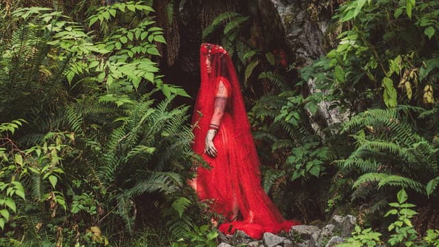 Persephone Returns