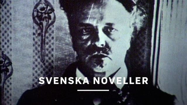 Svenska noveller