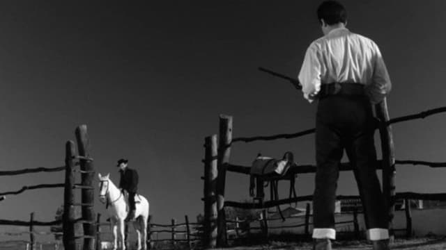 Duelo en la cañada