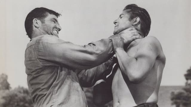 Jesse James vs. the Daltons