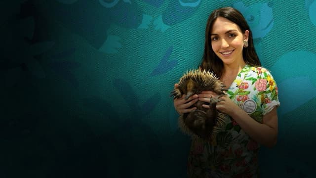 The Bizarre Pet Vets