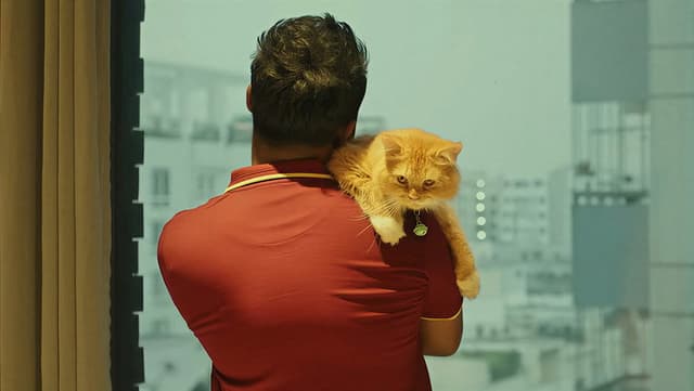 Love Sitter
