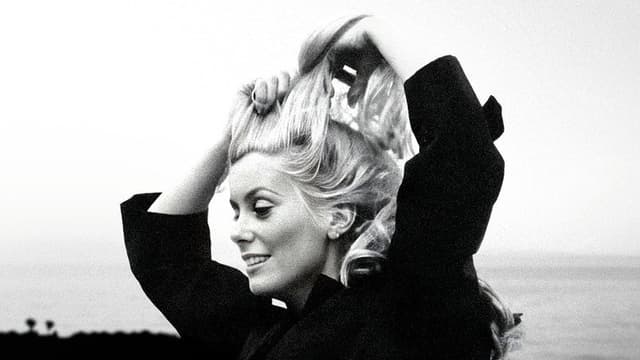 Catherine Deneuve by Chance, or, A Certain Blondeness