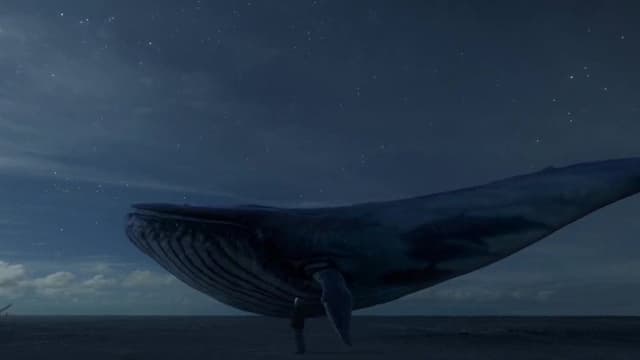 Requiem 2019