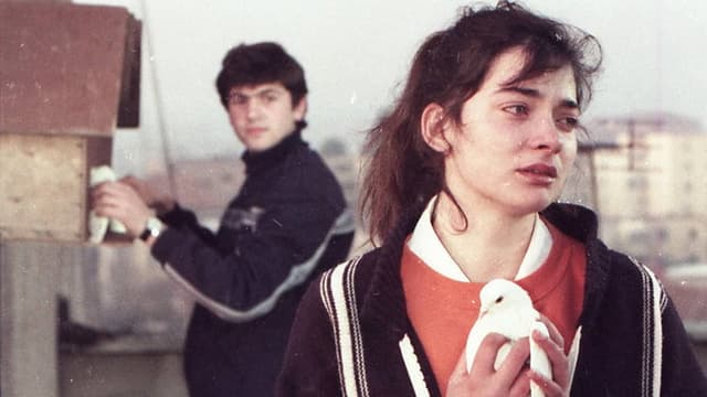 Një djalë edhe një vajzë