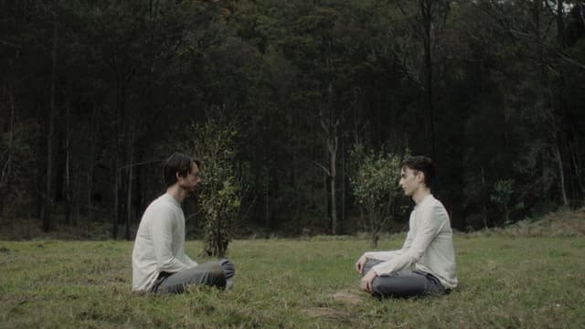 Soul Haven