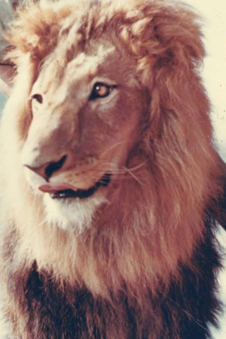 Zamba