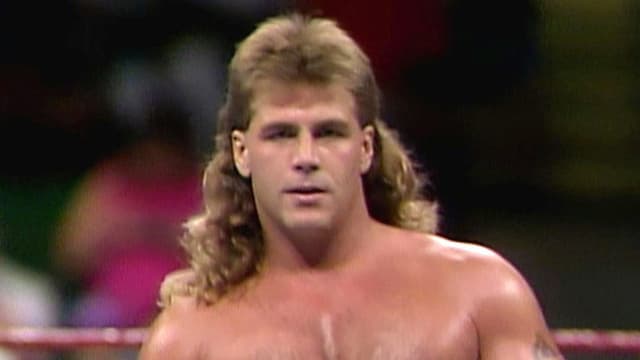 Shawn Michaels: Hits from the Heartbreak Kid