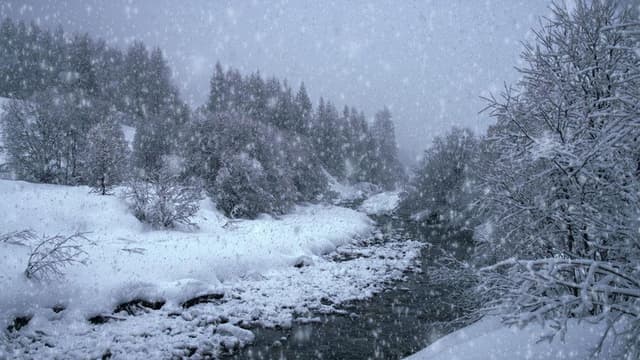 The Search for Snow