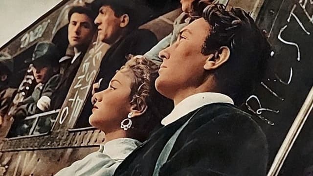 I cinque dell'Adamello
