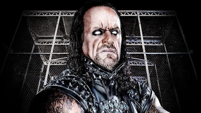 WWE Hell In A Cell 2010