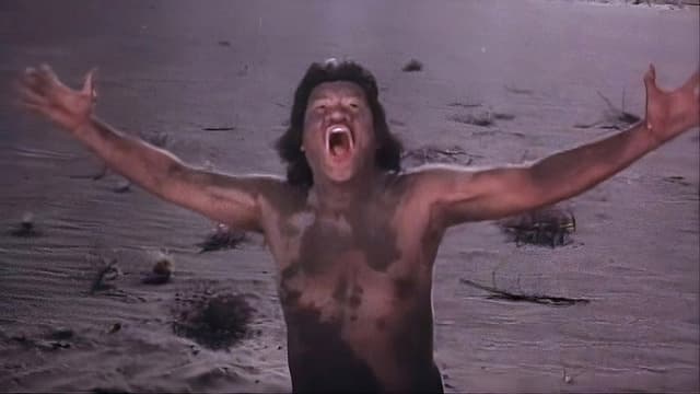 Ang Panday... Ikatlong Yugto